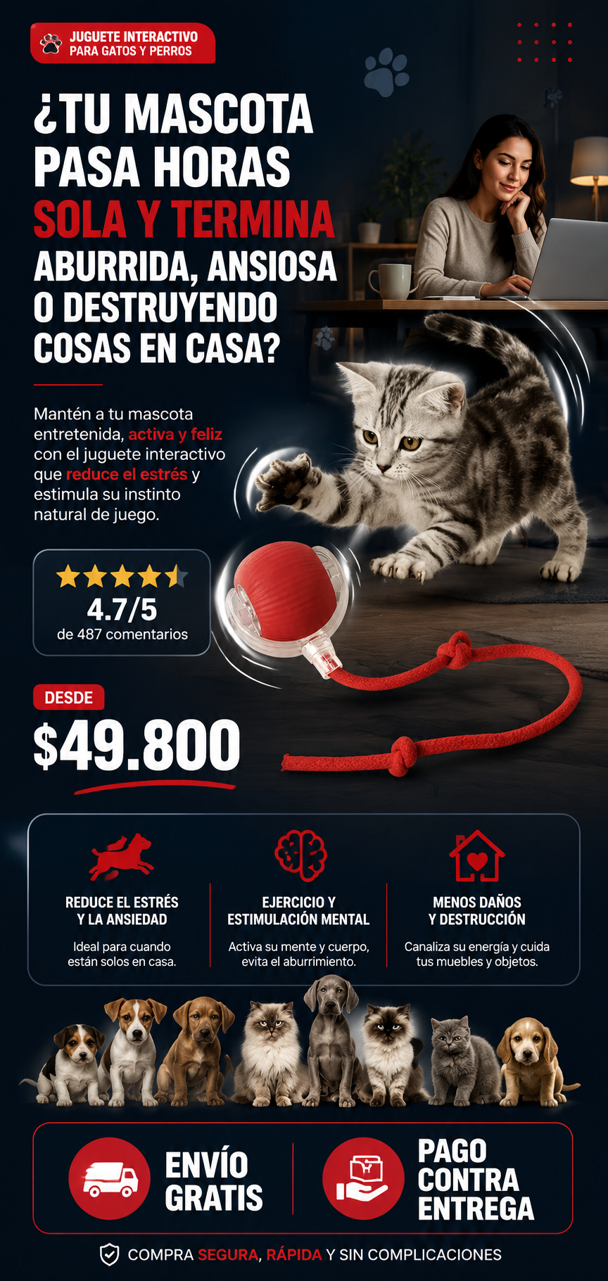 Juguete Interactivo Pelota Bola Gatos