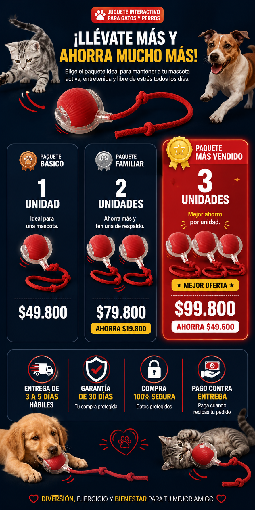 Juguete Interactivo Pelota Bola Gatos