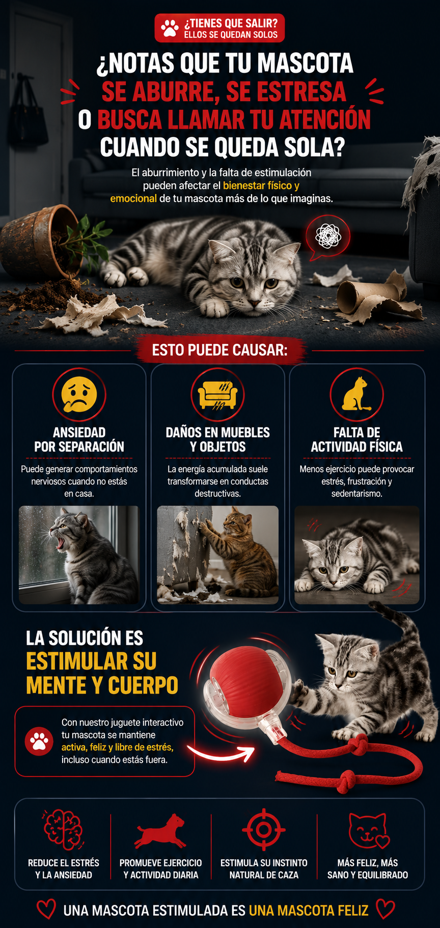 Juguete Interactivo Pelota Bola Gatos