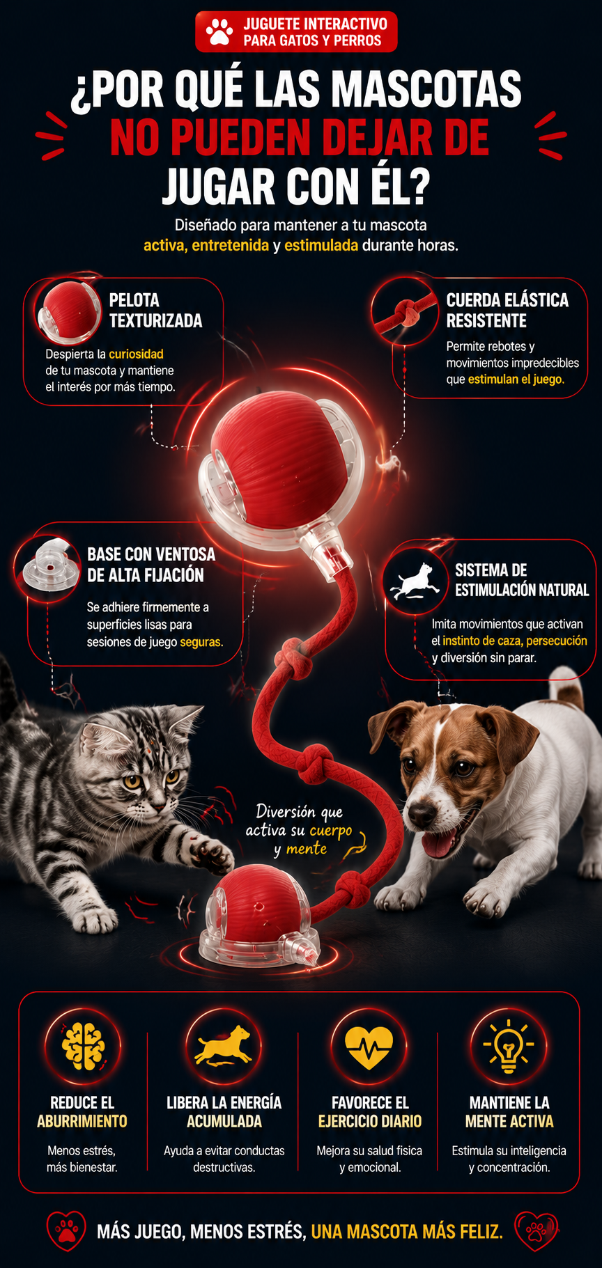Juguete Interactivo Pelota Bola Gatos
