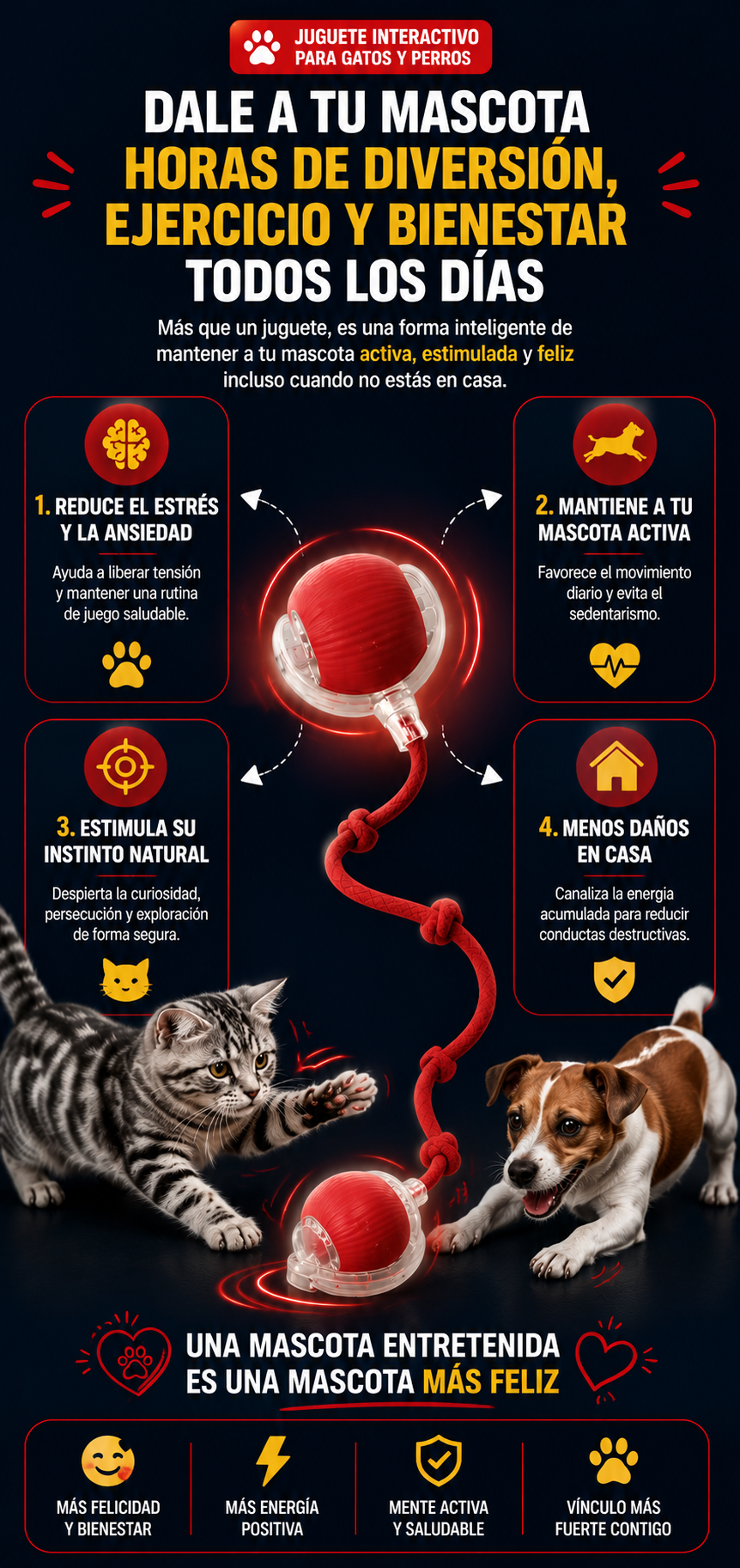 Juguete Interactivo Pelota Bola Gatos