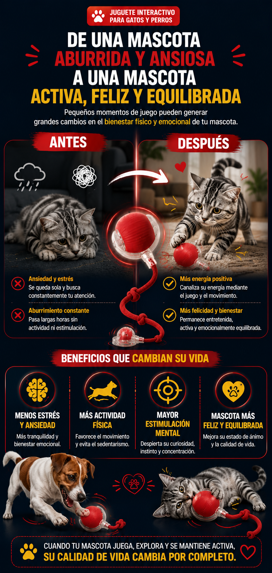 Juguete Interactivo Pelota Bola Gatos