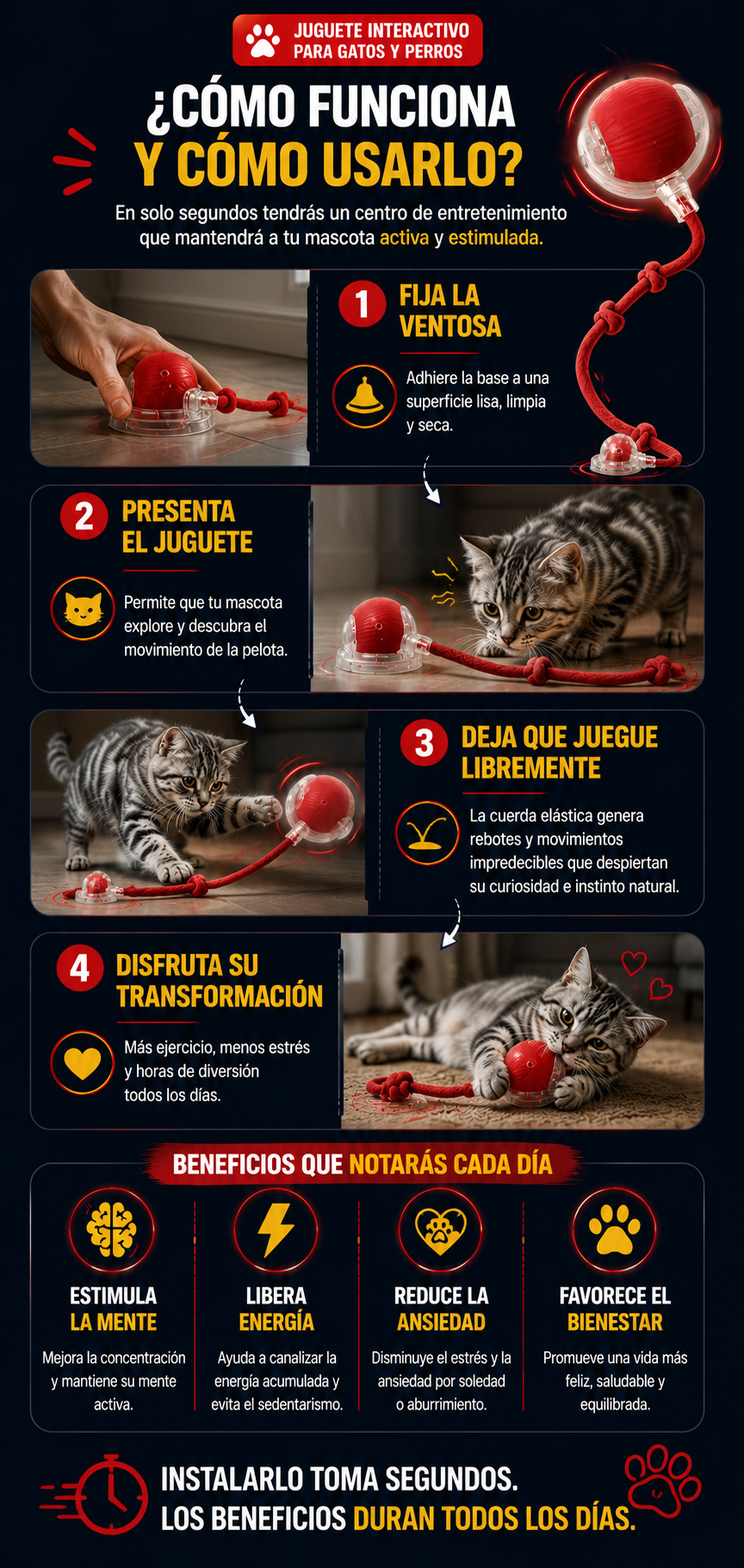 Juguete Interactivo Pelota Bola Gatos